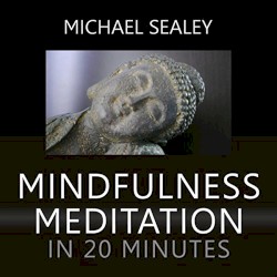 Mindfulness Meditation in 20 Minutes