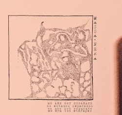 no estamos separados