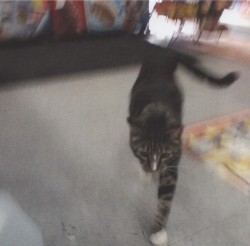 I Also Want to Die in New Orleans