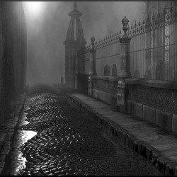 the ghoul's playbook (yusei)