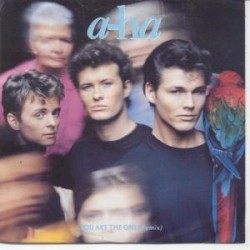 You Are the One (remix)