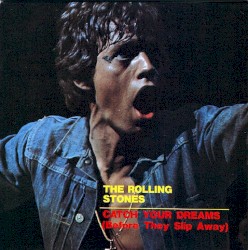 Catch Your Dreams (Before They Slip Away)