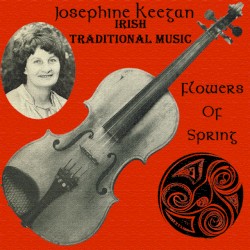 Irish Traditional Music: Reels, Jigs, Hornpipes