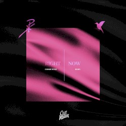 Right Now (Cosmic Sense remix)