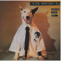 Working Class Dog
