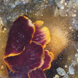 Longing for You, Pt. II