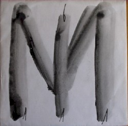 The Confession Of The Rose