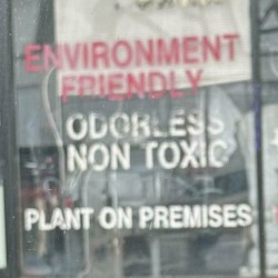 THERE ARE NO RULES 6