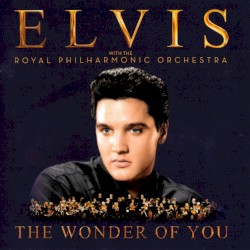 The Wonder of You