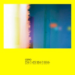 Poly Life Multi Soul