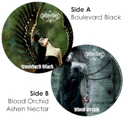 Boulevard Black / Blood Orchid