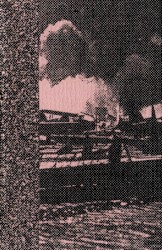 Merzbow Mixed Total