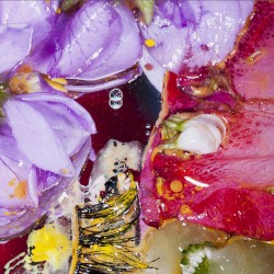 Forward Constant Motion