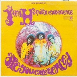 Are You Experienced