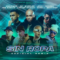 Sin ropa (remix)