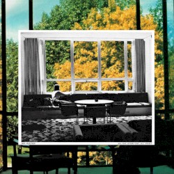 All Day, Every Day, All Night