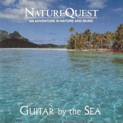 Guitar By The Sea