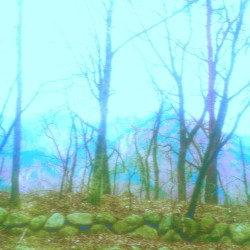 4. Mountain Still Breathing