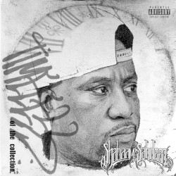 Timeless: of the Collection