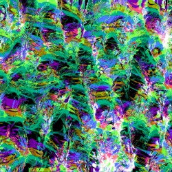 synapse (POL DE LA JUNGLA & telemist's rework)