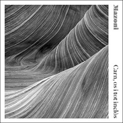 Carn, os i tot inclòs