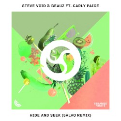 Hide & Seek (5ALVO remix)