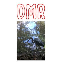 DMR