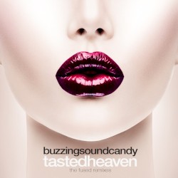 Tasted Heaven - The Fused Remixes