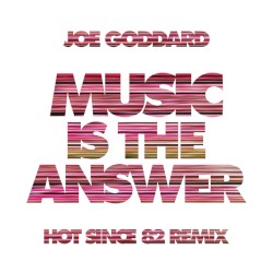 Music Is the Answer (Hot Since 82 remix)