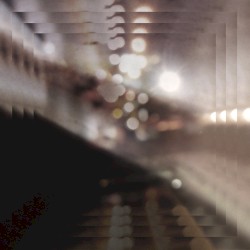 today i tripped over my own shadow