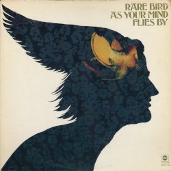 As Your Mind Flies By