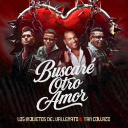 Buscaré otro amor
