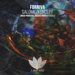 Salome/Koncept