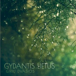 Gydantis lietus
