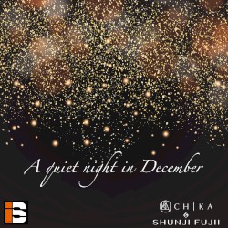 A quiet night in December
