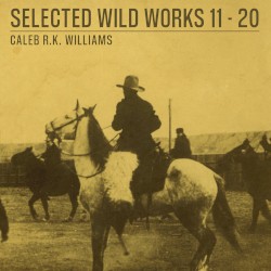 Selected Wild Works 11 - 20