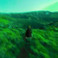 Sorry, I can’t talk right now.