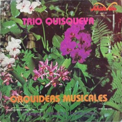 Orquideas musicales