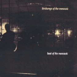 Beat Of The Mesozoic