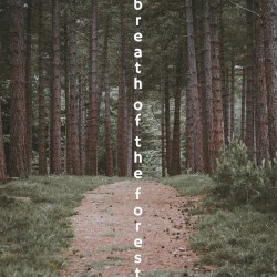 Breath of the Forest