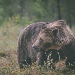 Retrospective (2016–2021)