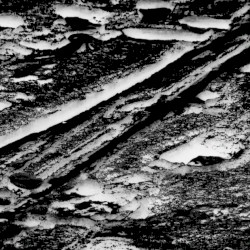 Exploratory I