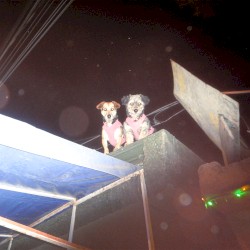 lado b