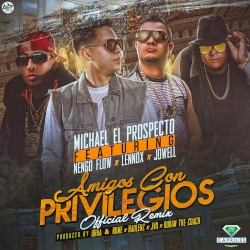 Amigos con privilegios (remix)