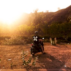 A Collection of Xinobi Dance Songs