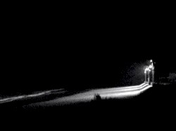 They're Not the Only Ones