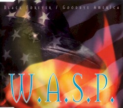 Black Forever / Goodbye America