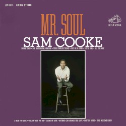 Mr. Soul