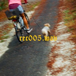 REC005.WAV