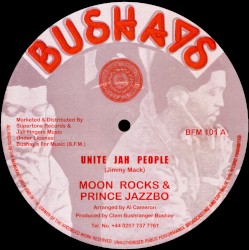 Unite Jah People / Have No Fear